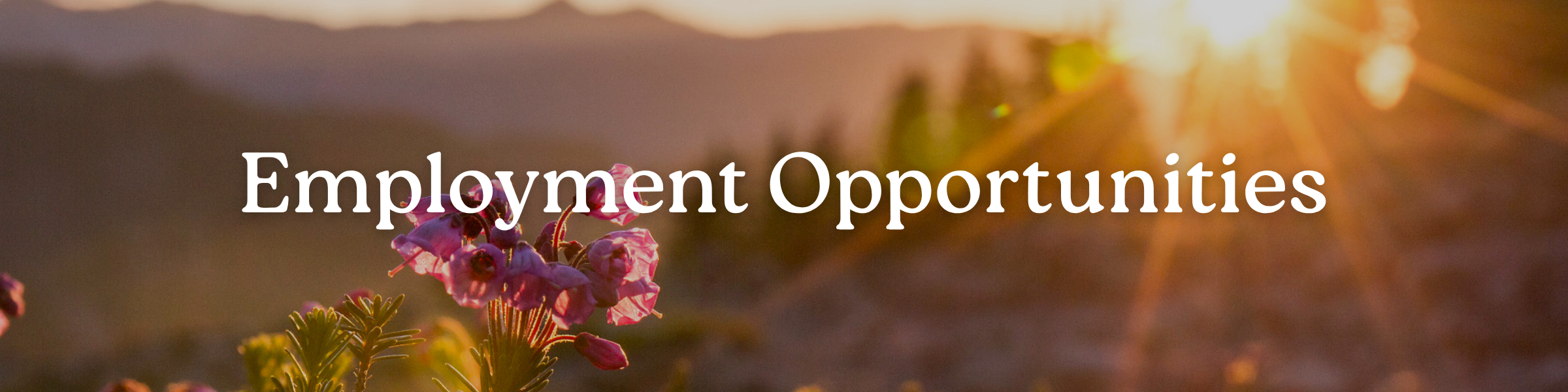 Employment Opportunities